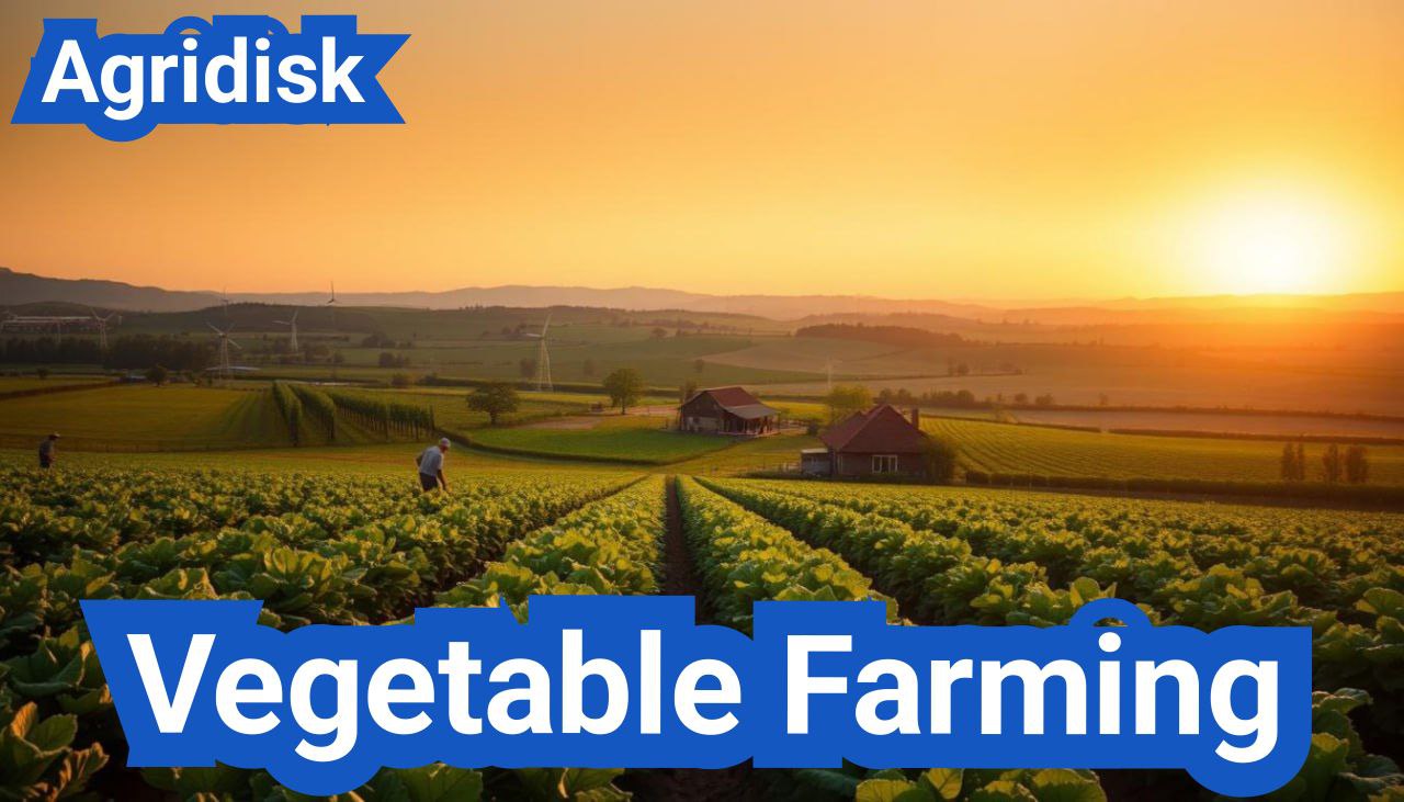 Vegetable Farming: Everything You Need to Know